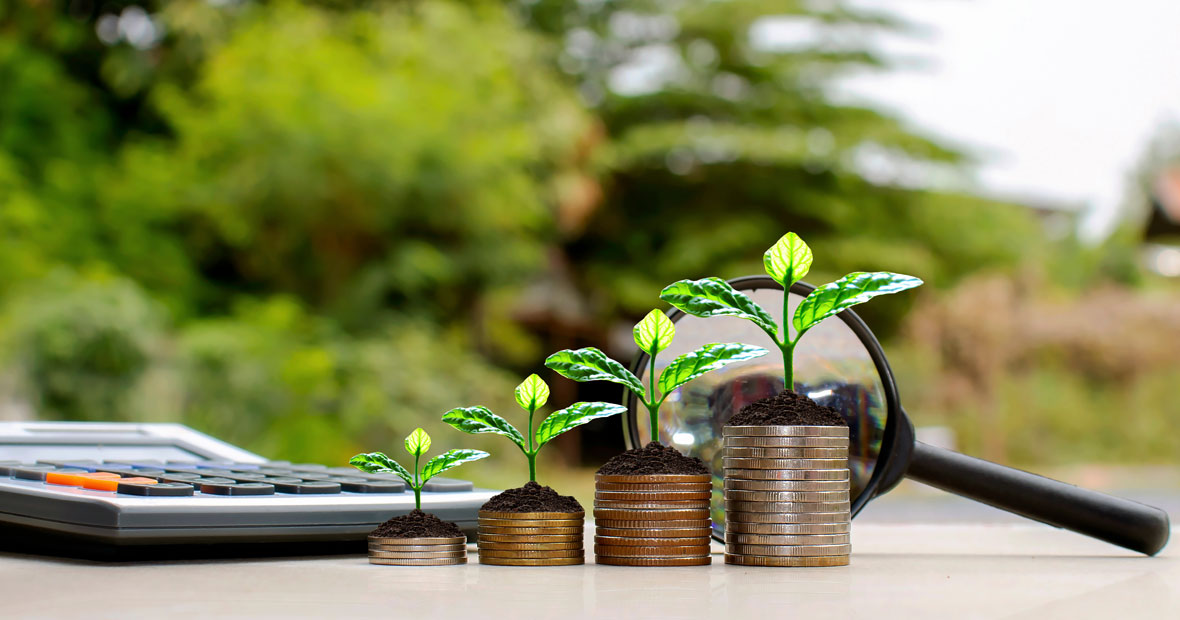 investir dans un terrain